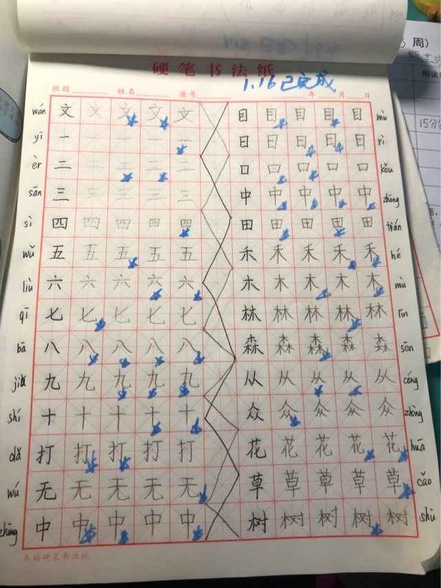 1.16寒假打卡