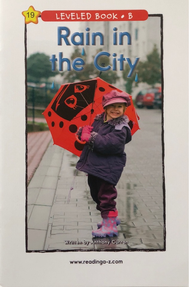 19-Rain in the city