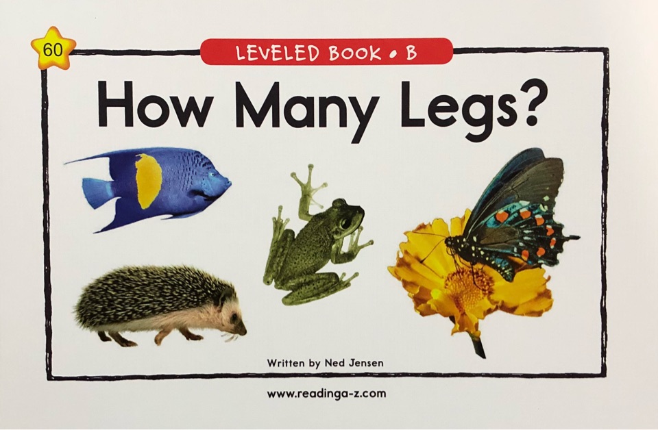 60-How many legs?