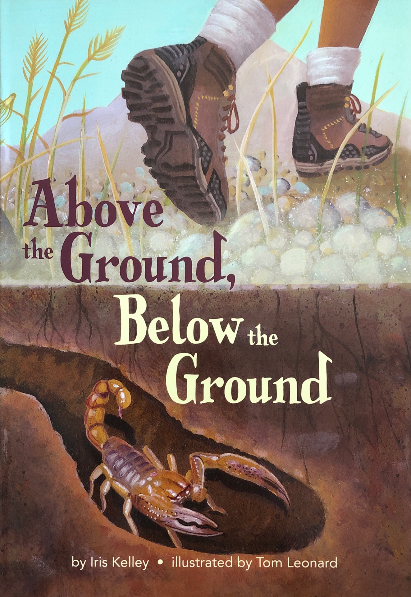 Above the ground,below the ground