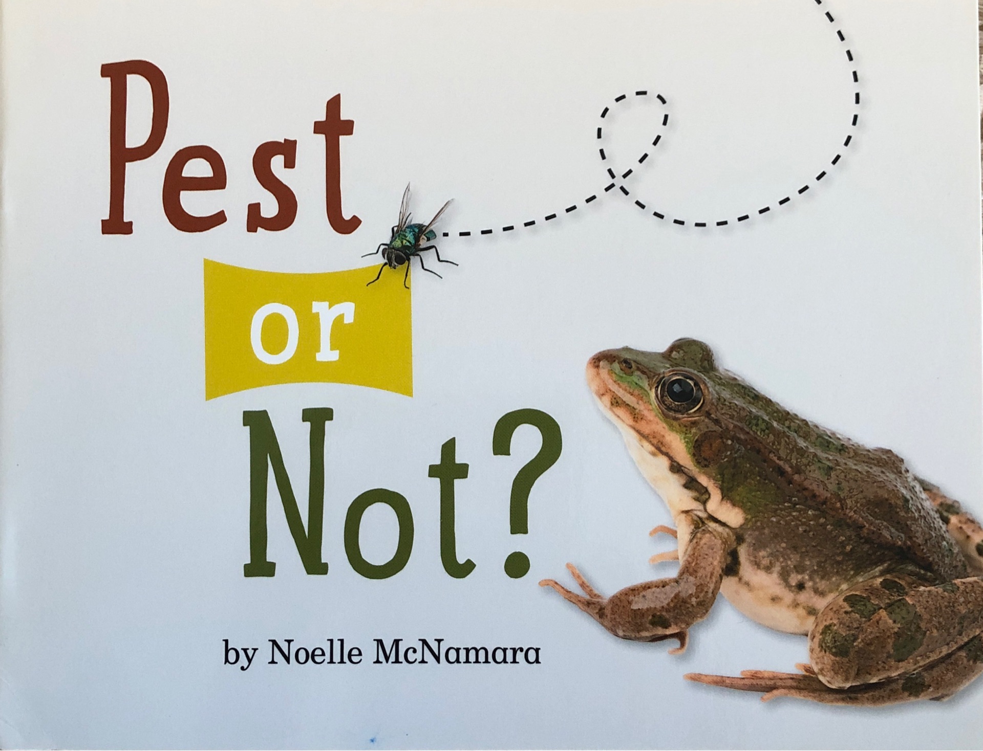 Pest or not ?