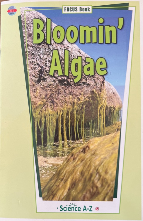 bloomin algae