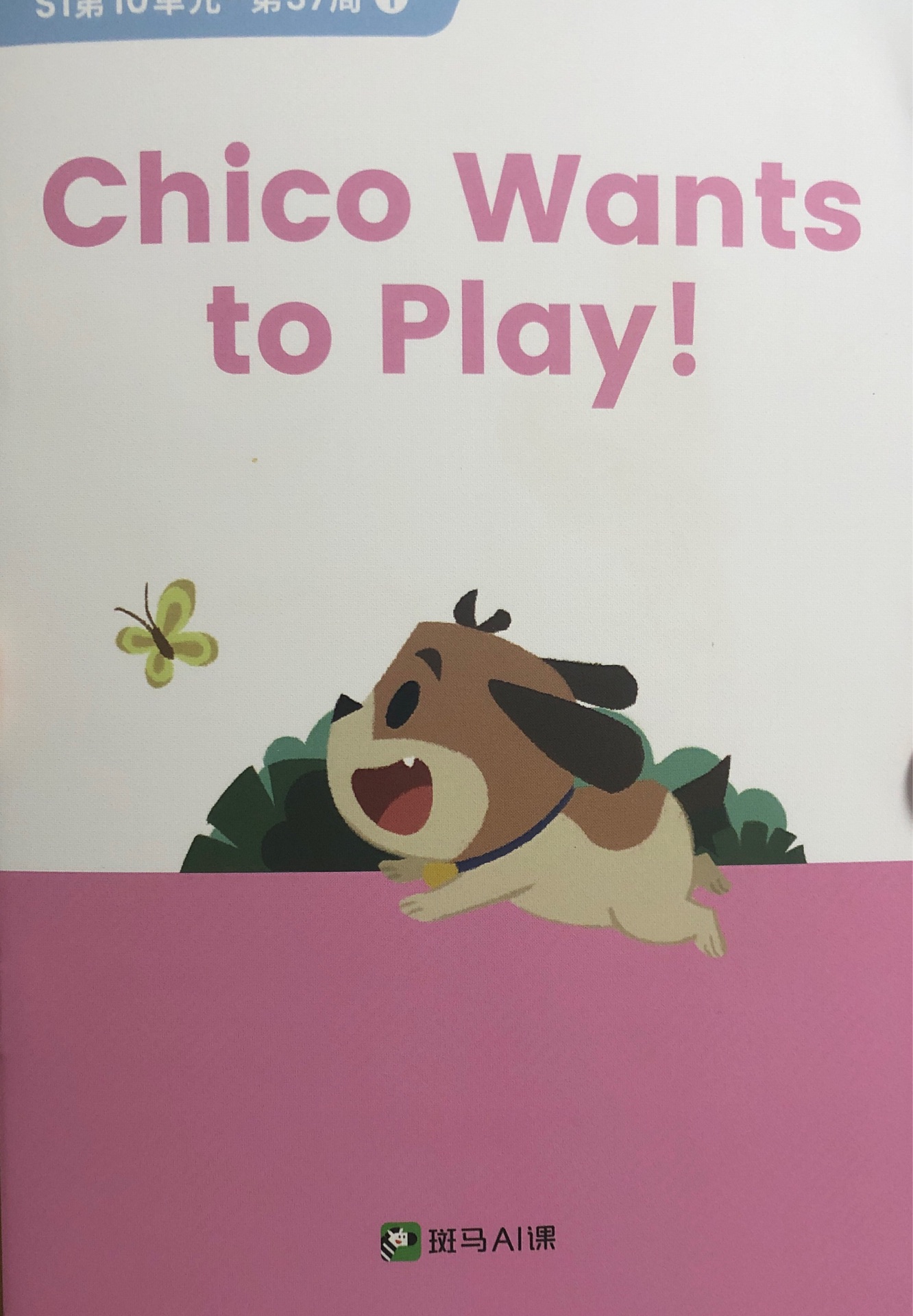 Chico wants to play