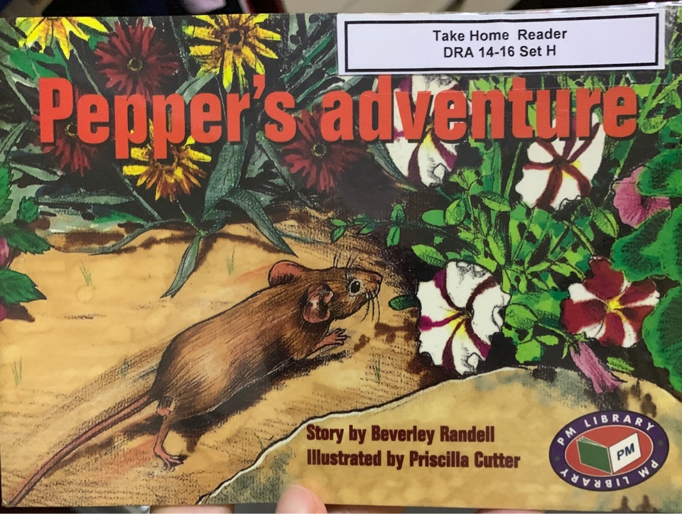 Pepper's adventure