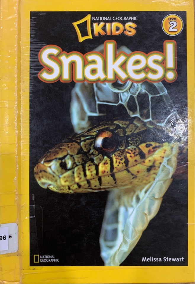 Snakes!