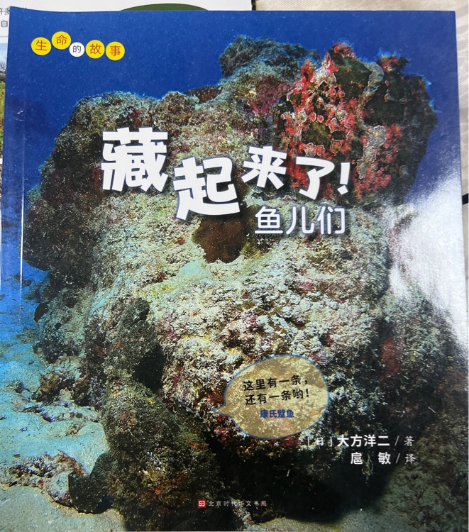 藏起來了 魚兒們