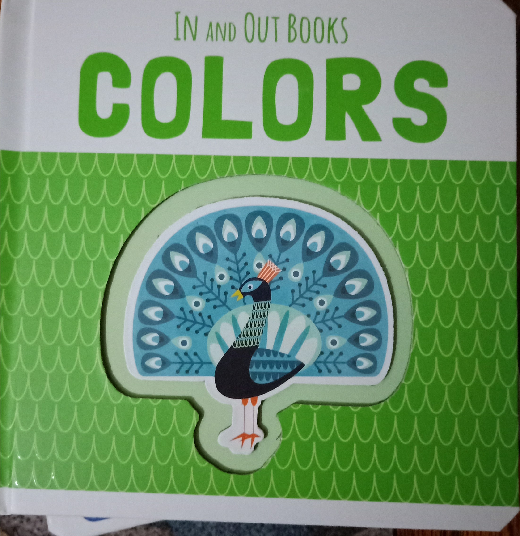 IN AND OUT BOOK COLORS