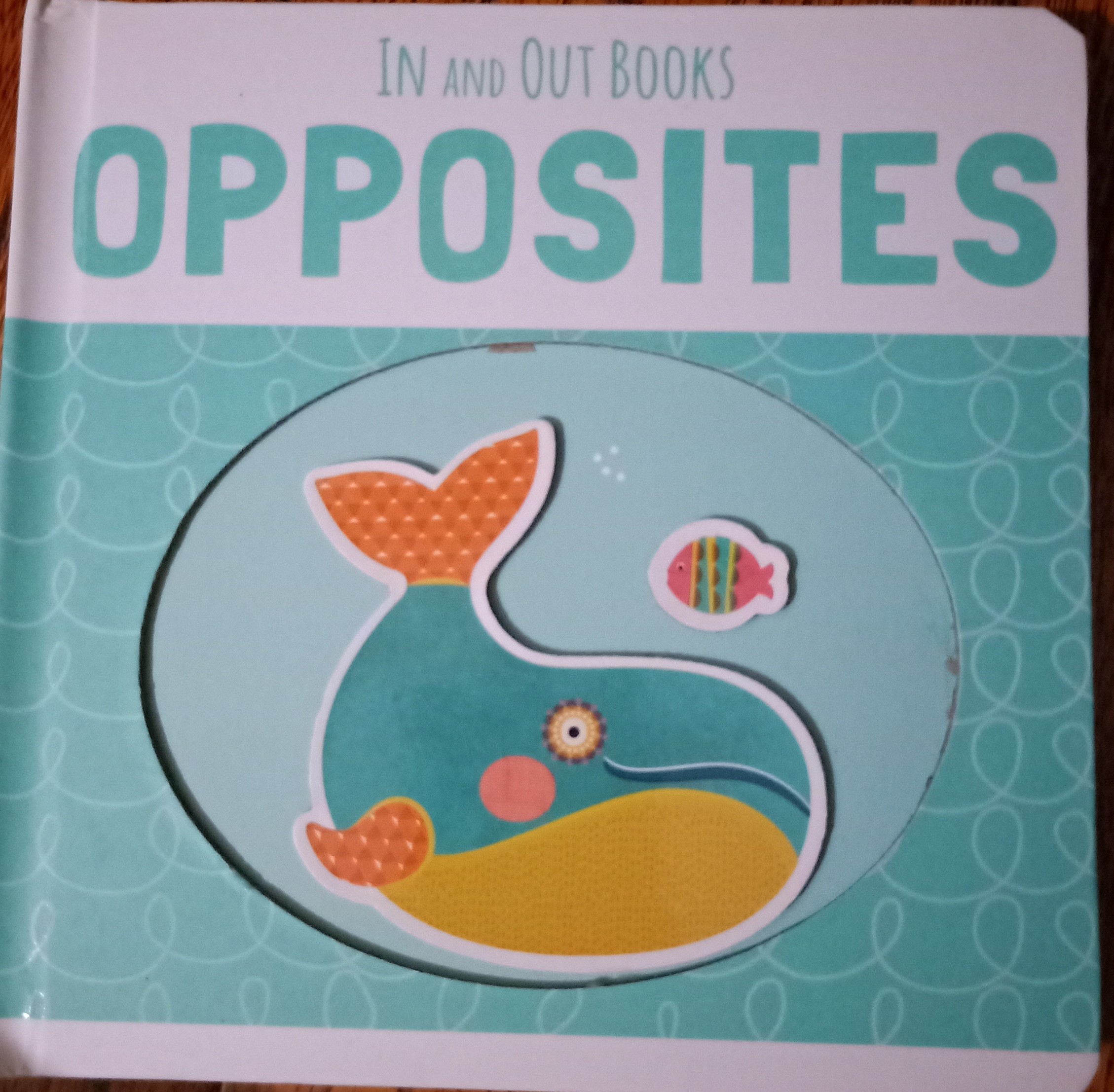 IN AND OUT BOOKS OPPOSITES