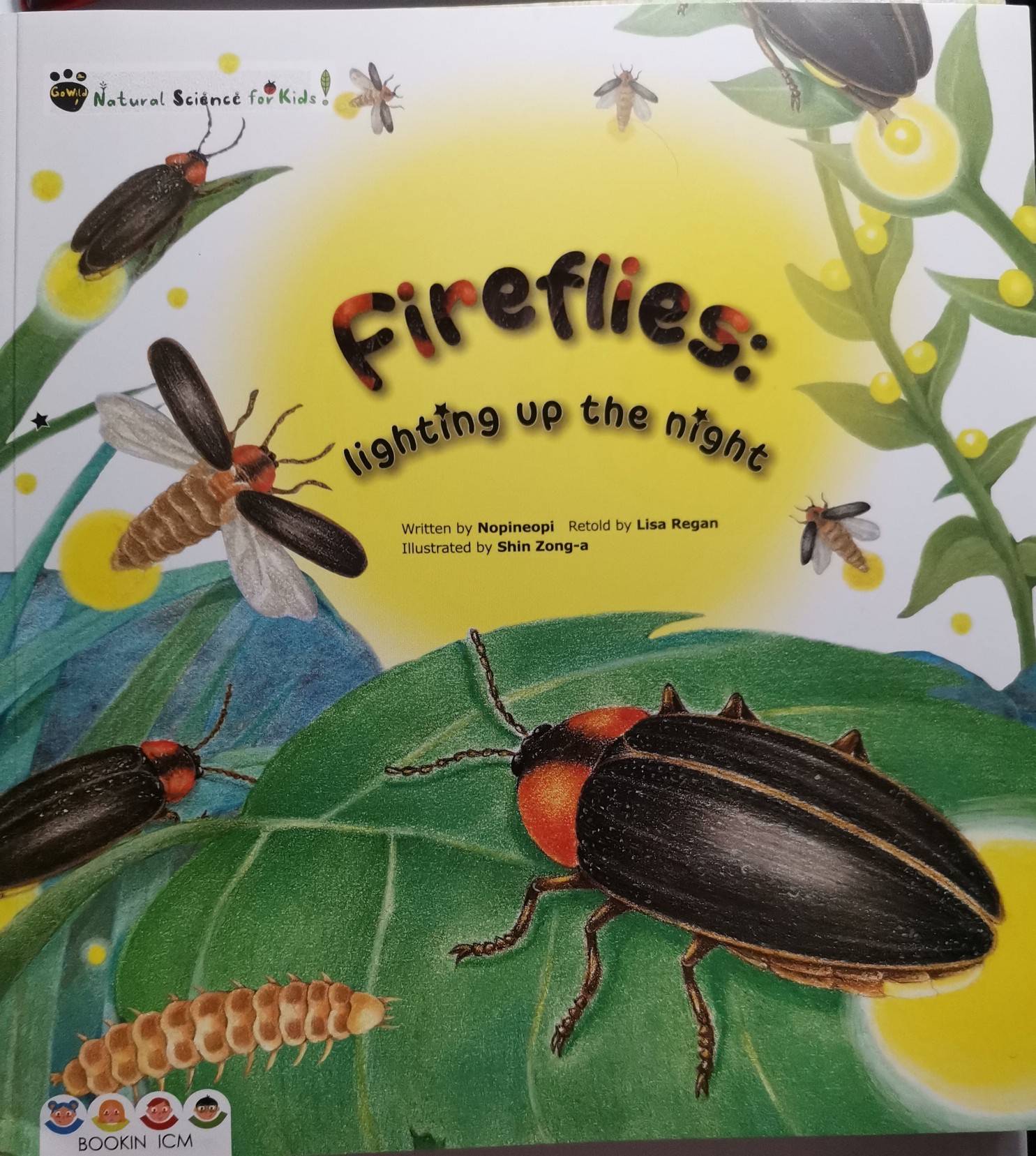 Fireflies: lighting up the night