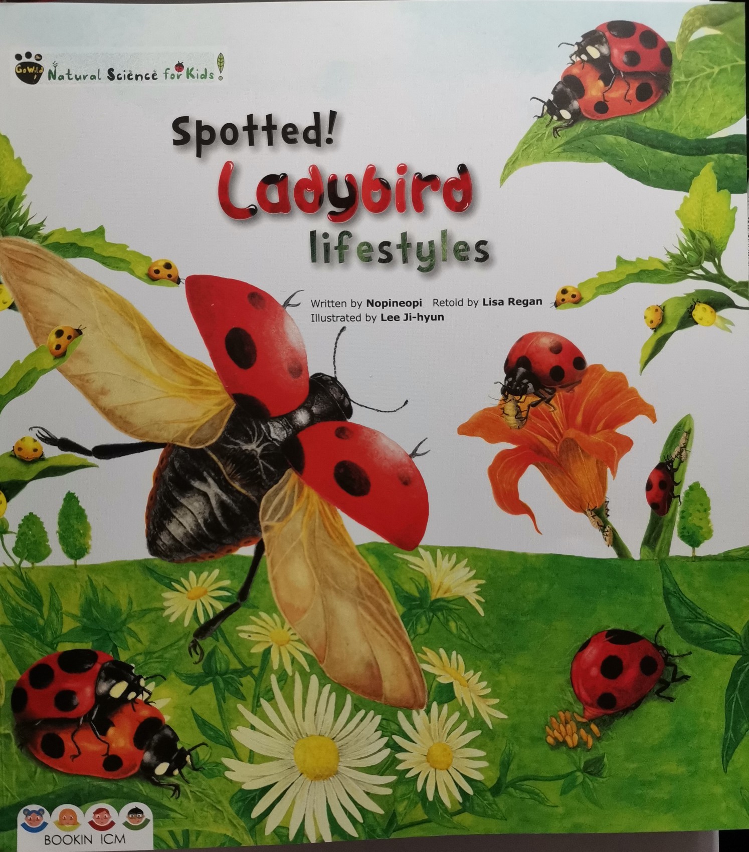 Spotted! ladybird lifestyles