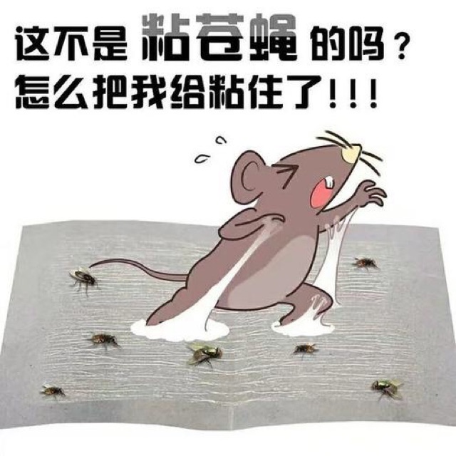 蒼蠅如何被抓~？