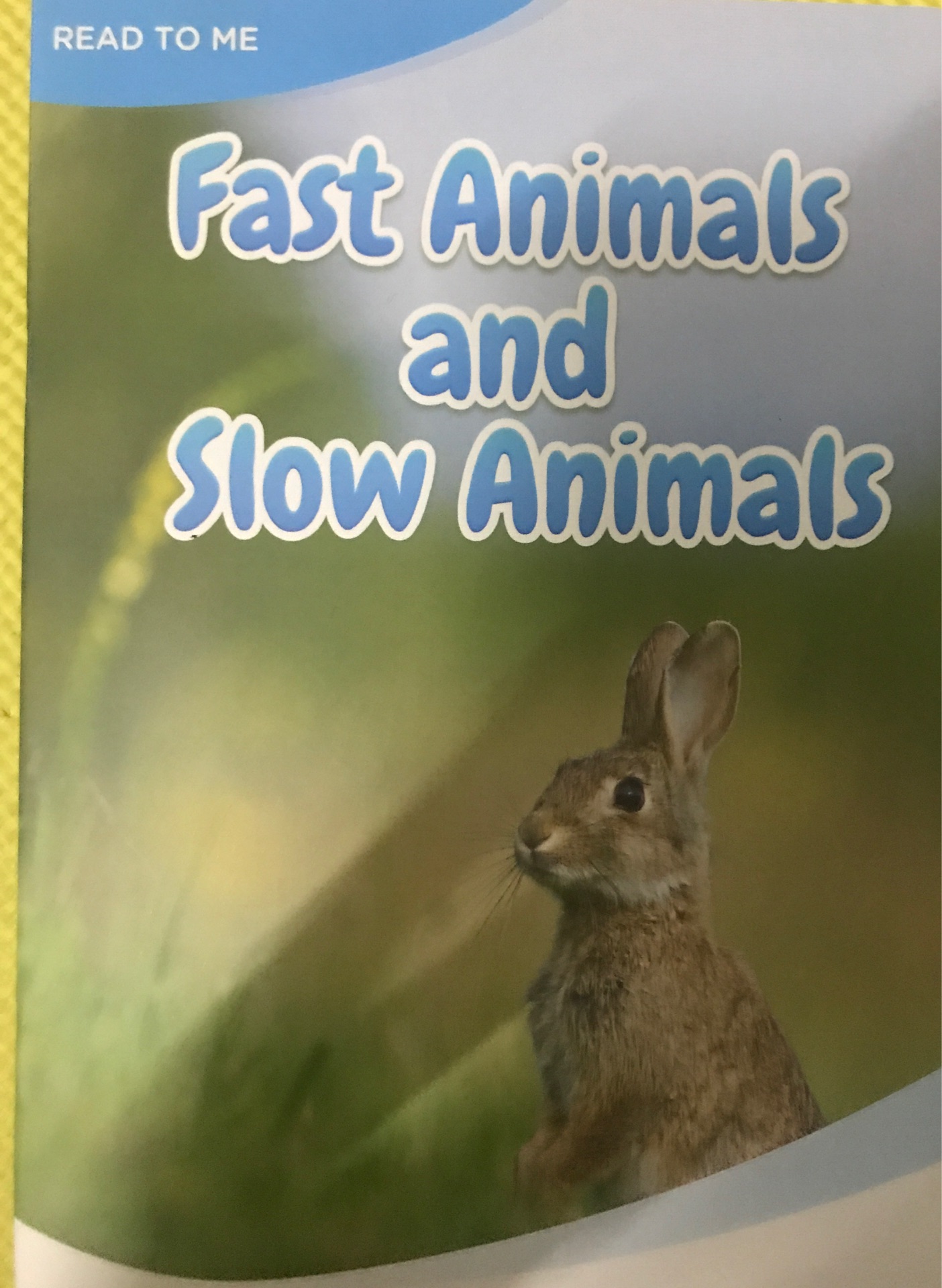 Fast Animals and slow Animals