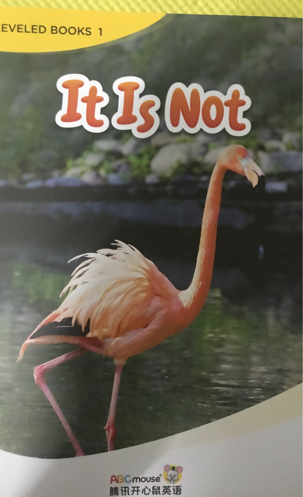 It is Not