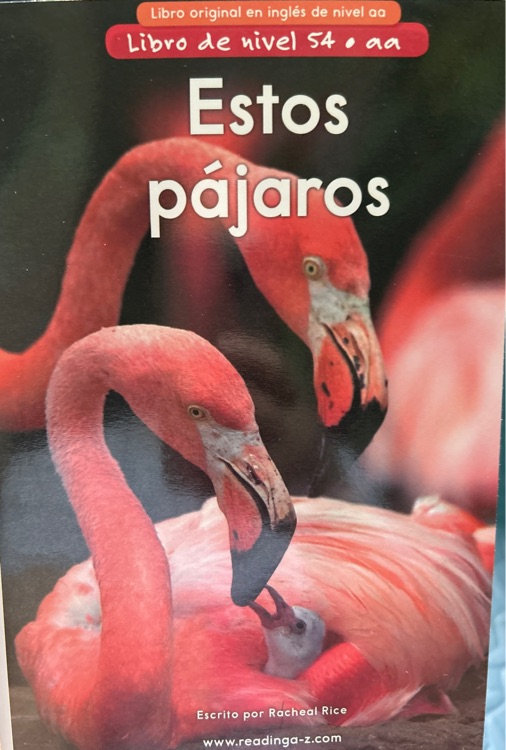 Estos pajaros