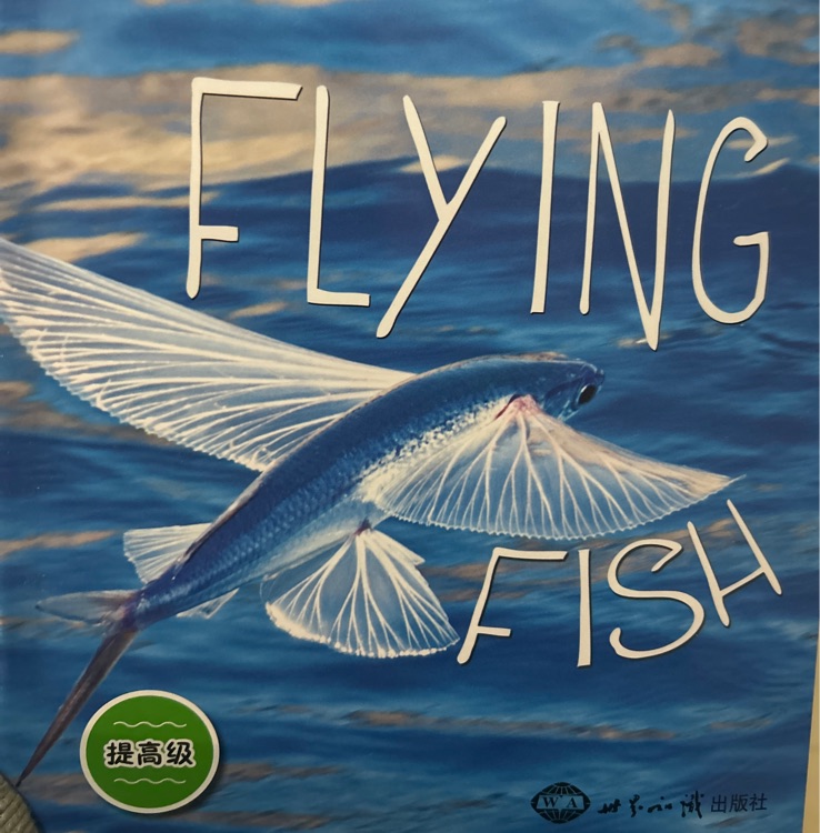 FLyING FISH