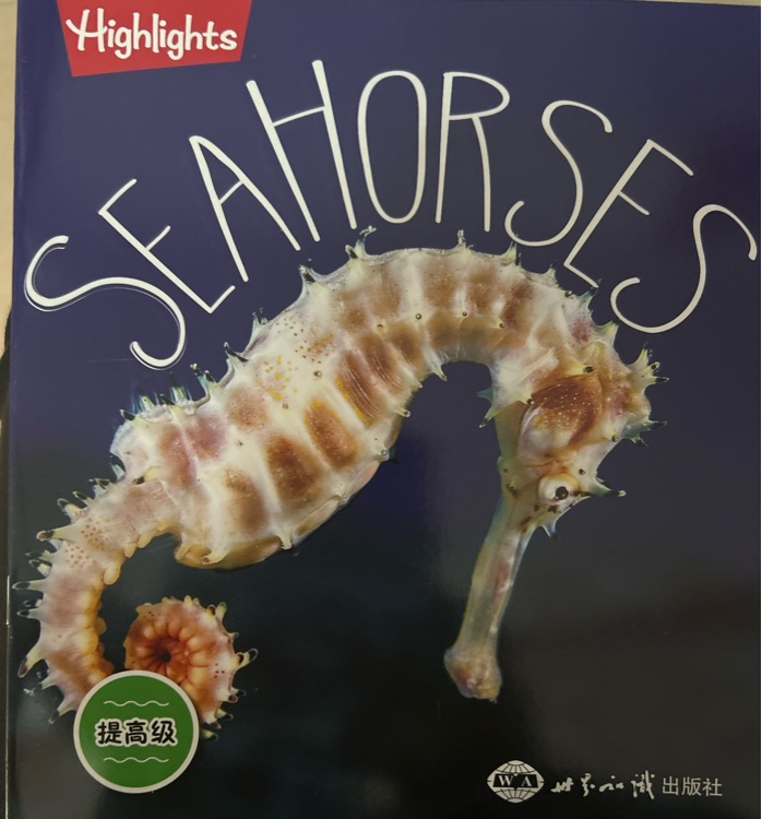 SEAHORSES