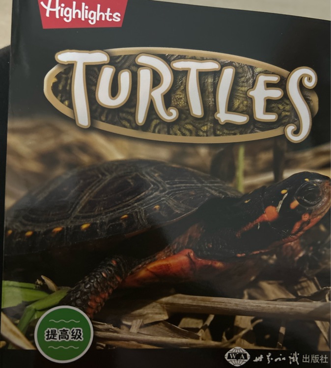 TURTLES