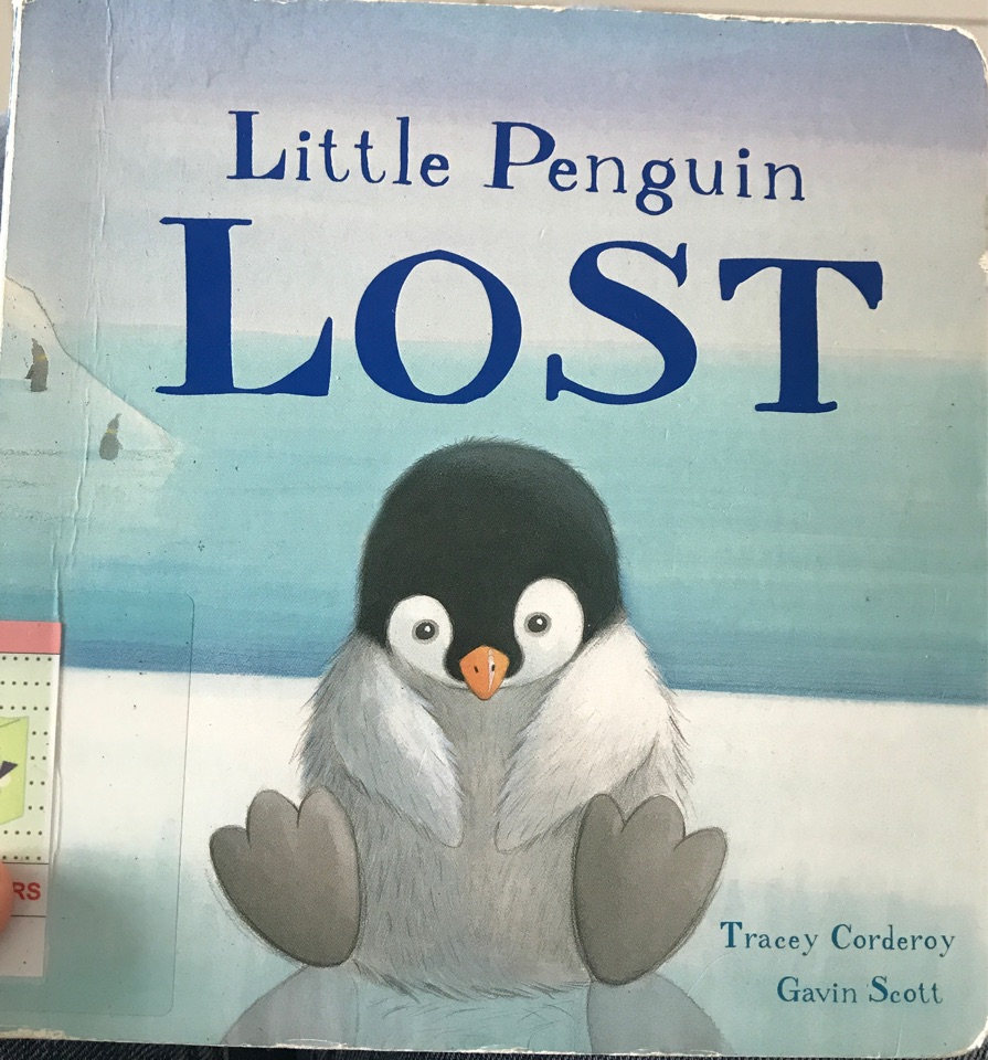 Little Penguin Lost