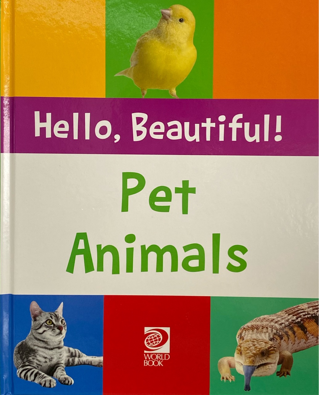 Hello, Beautiful — Pet Animals