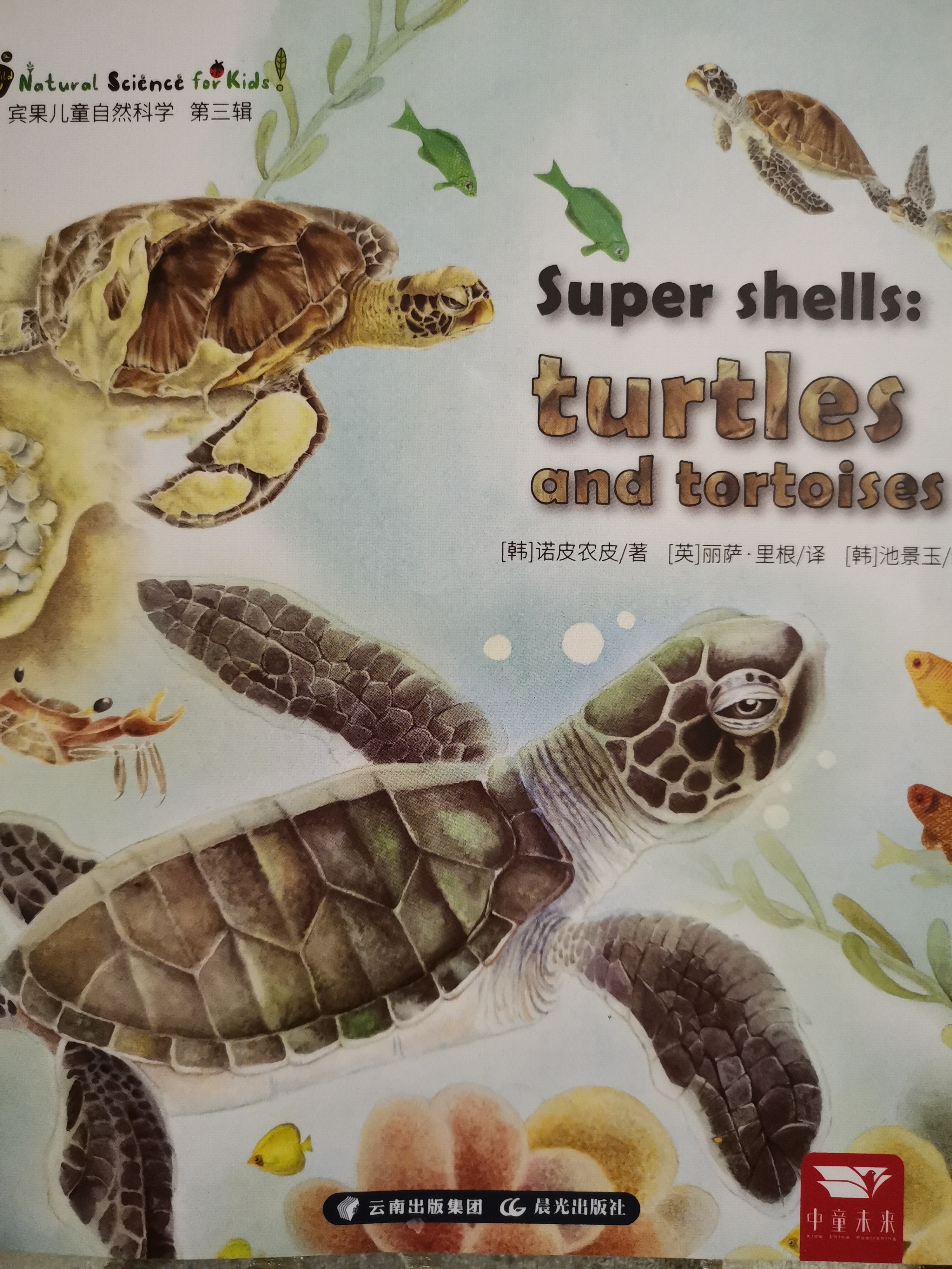 super shells: turtles and tortoises