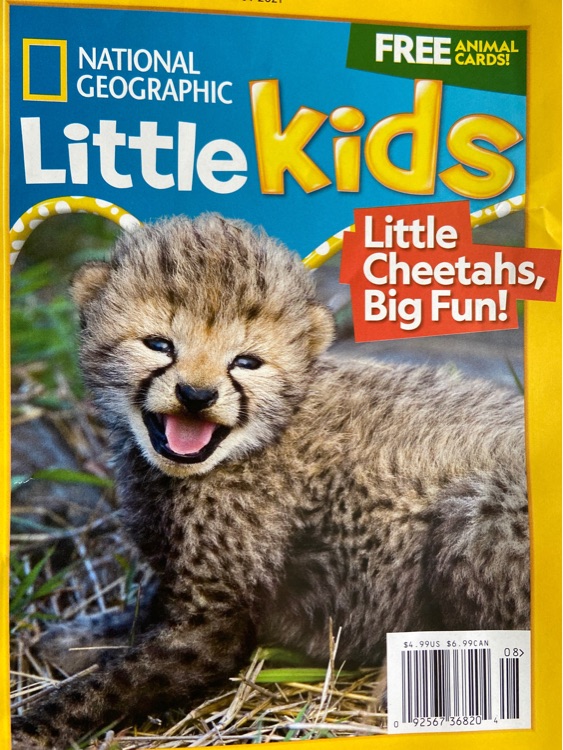 Little kids, little cheetahs