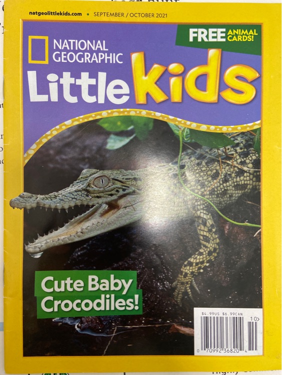 Little kids,cute baby crocodiles