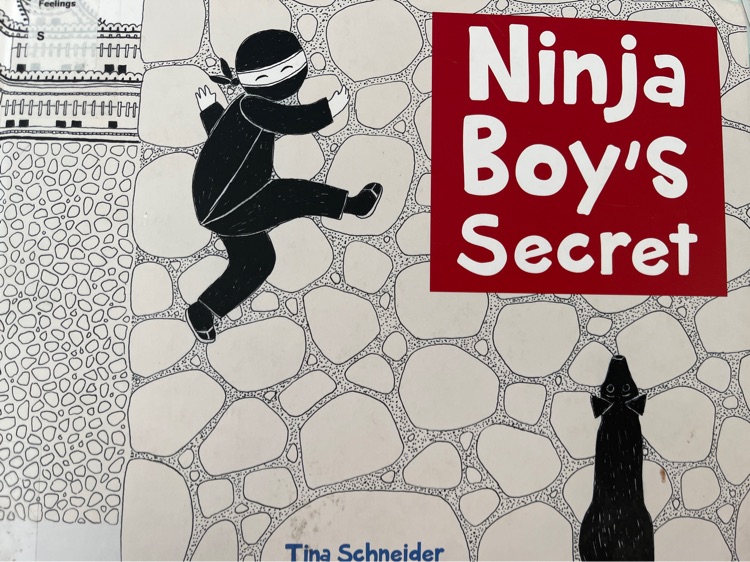 Ninja Boy's Secret