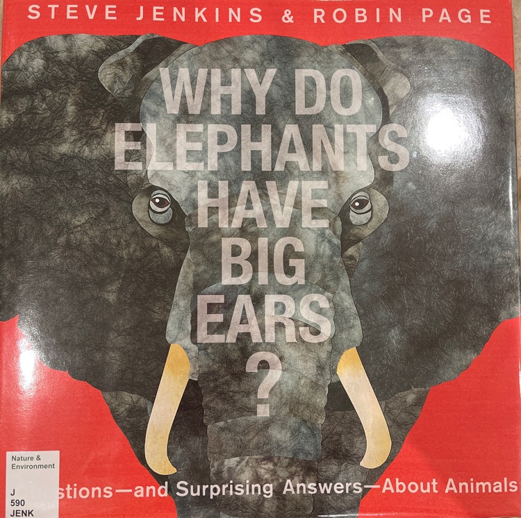 Why do elephant have big ears?