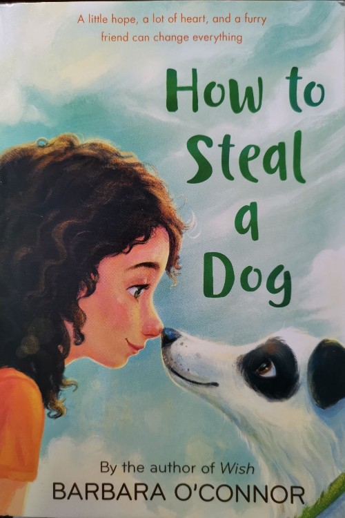 How to Steal a Dog