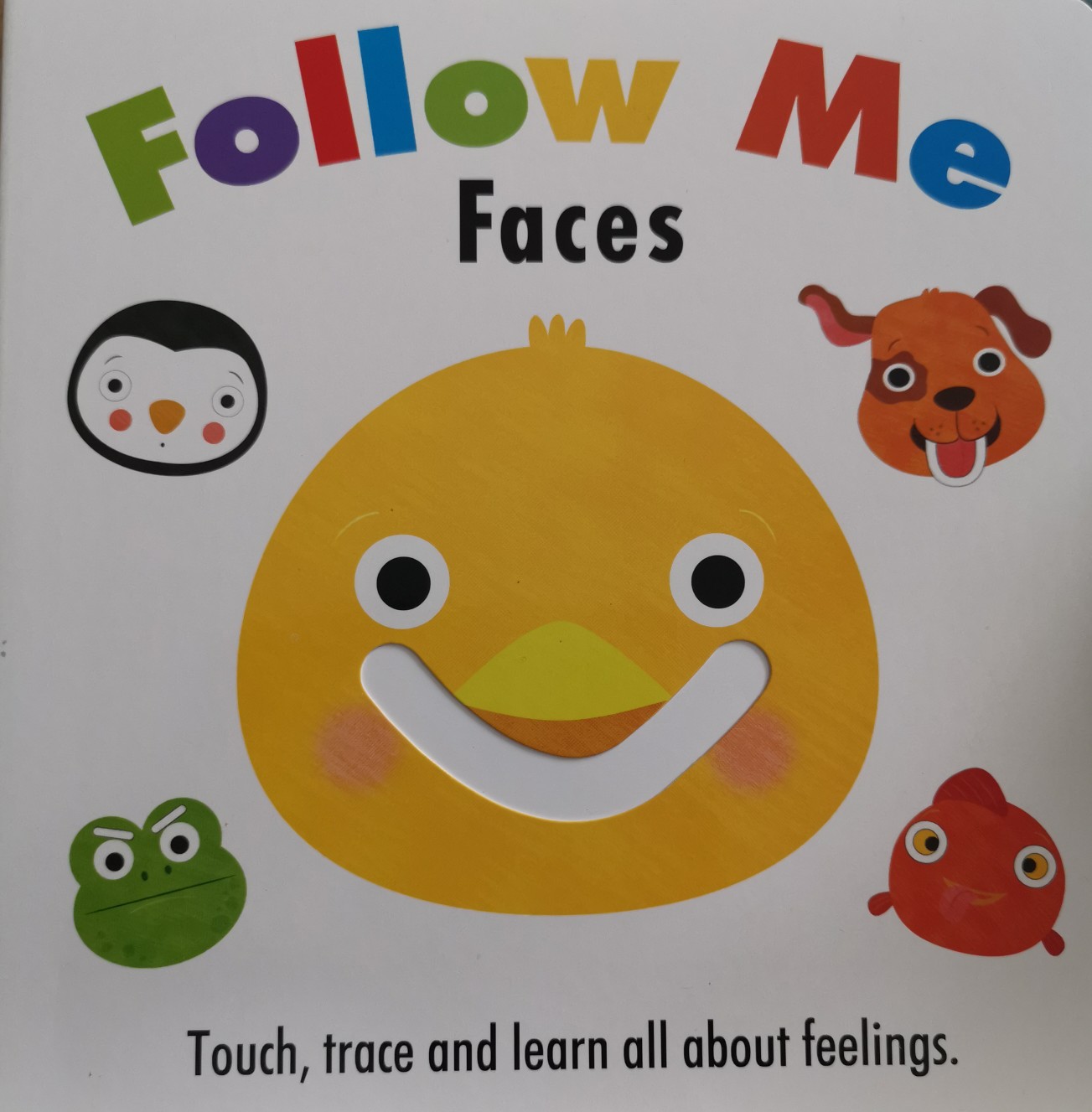 Follow Me  -  Faces