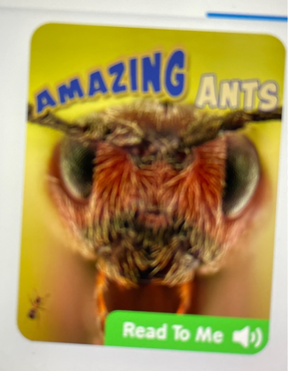 Amazing Ants