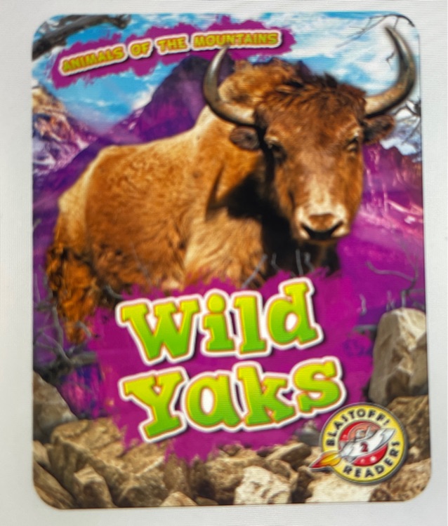 Wild Yaks