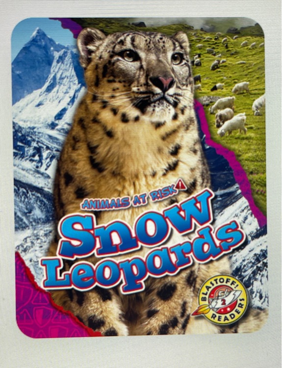 Snow Leopards