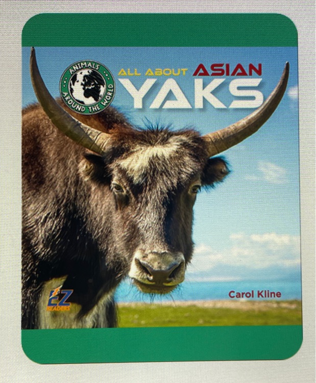 All about Asian: YAKS