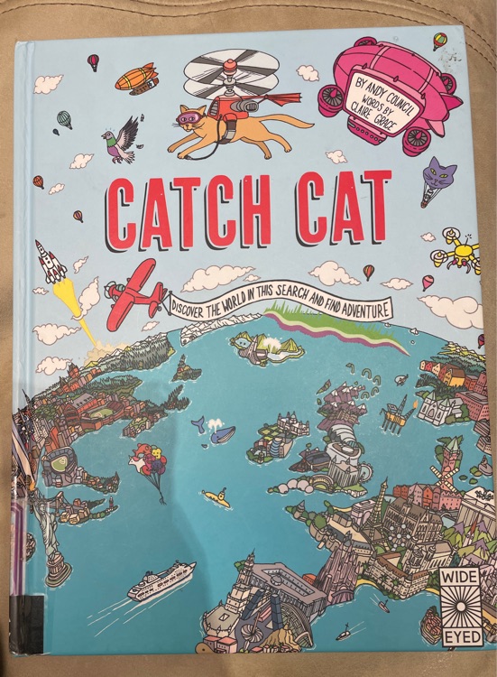 Catch Cat