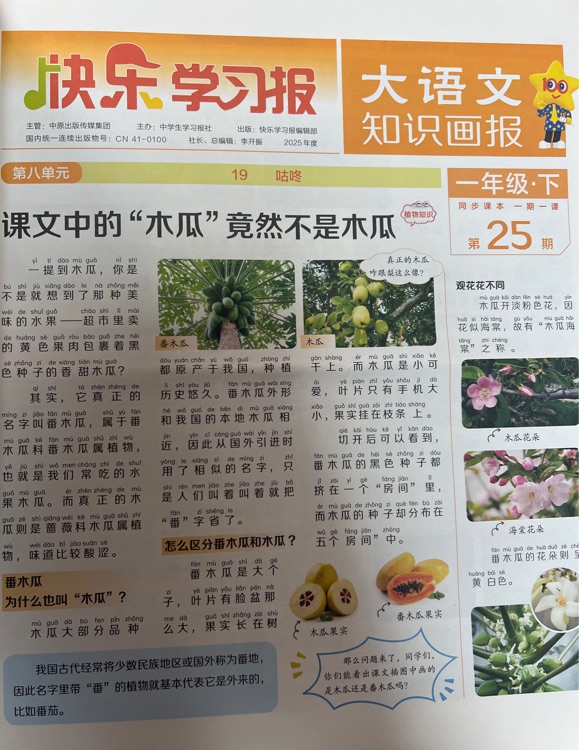 大語文知識(shí)畫報(bào)·一年級(jí)下·第25期