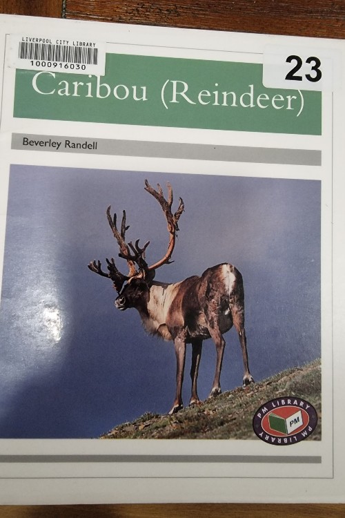 Caribou