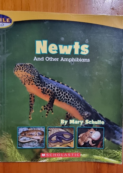 Newts and Other Amphibians