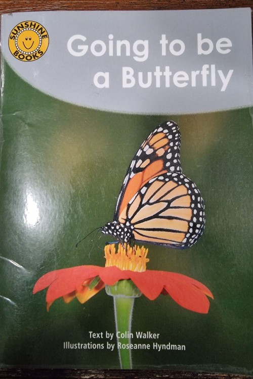 Going to be a Butterfly