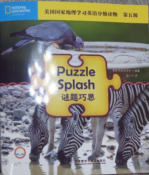 puzzle splash