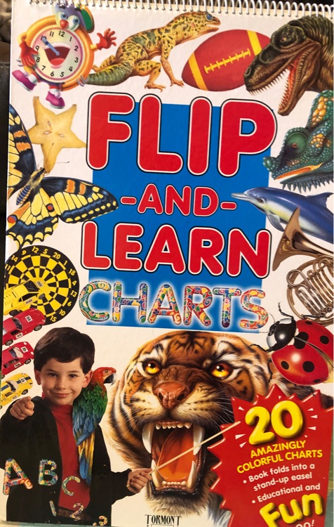 Flip and Learn Charts