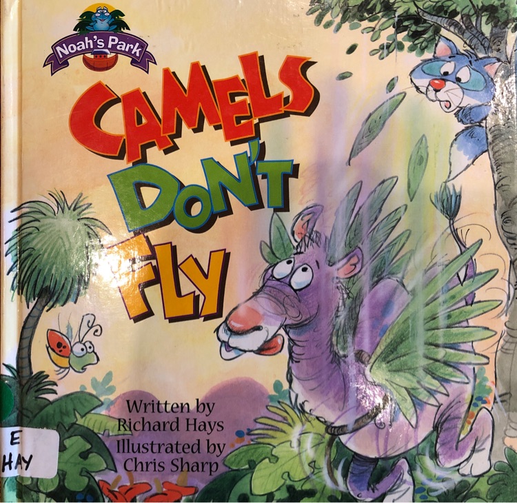 Camels don't fly