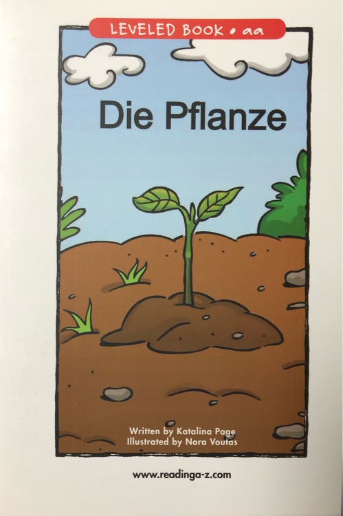 die pflanze