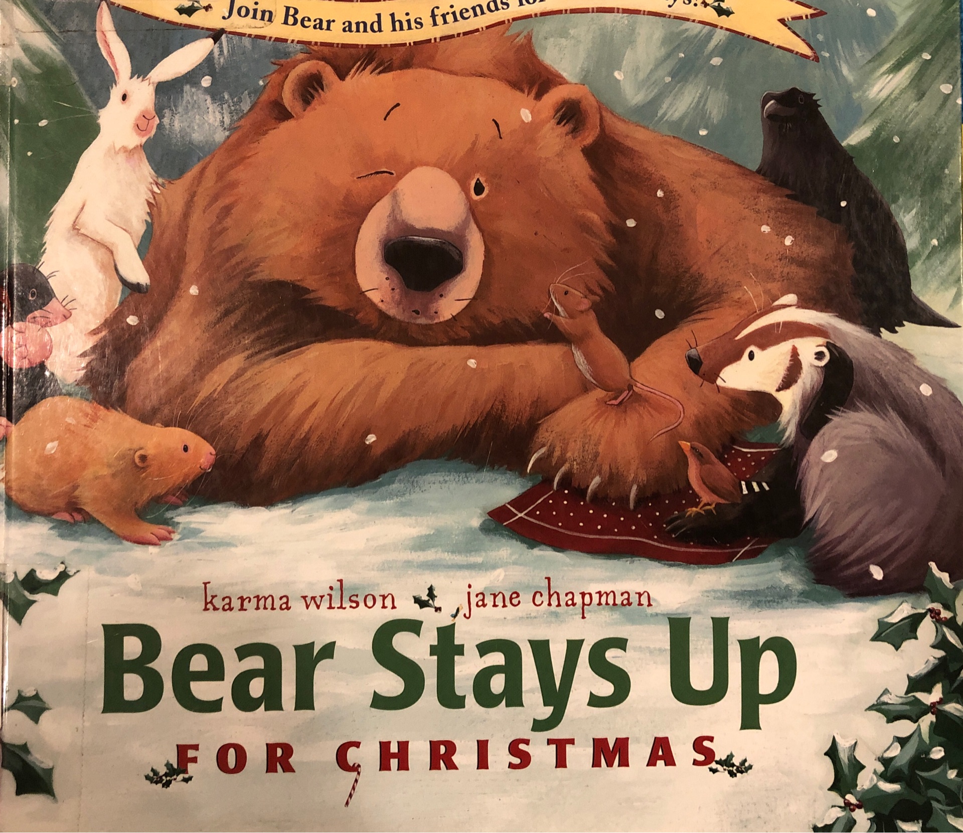 Bear stays up for Christmas