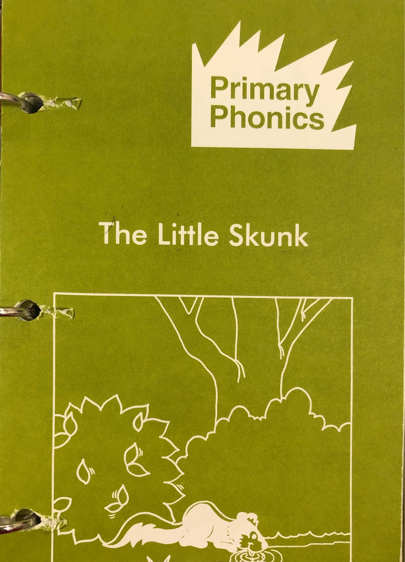 The Little Skunk (Primary Phonics Set 4 Book 4)