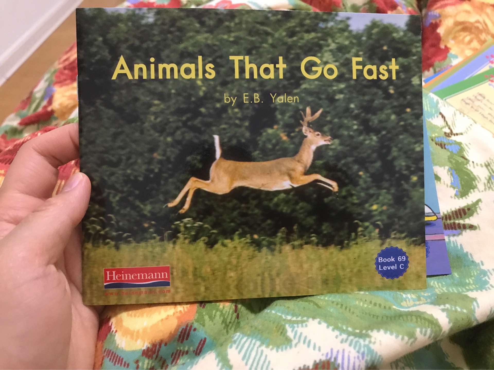 Animals that go fast