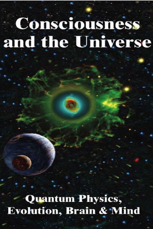 consciousness and the universe quantum physics