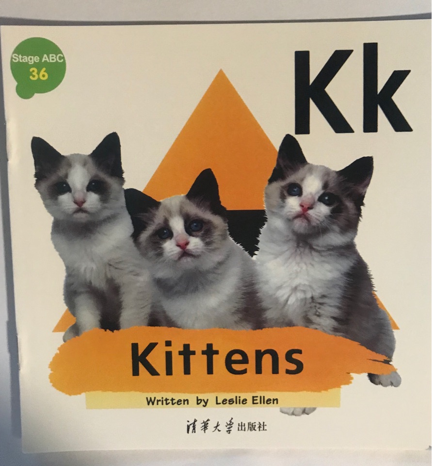 機(jī)靈狗abc 36 Kk Kittens