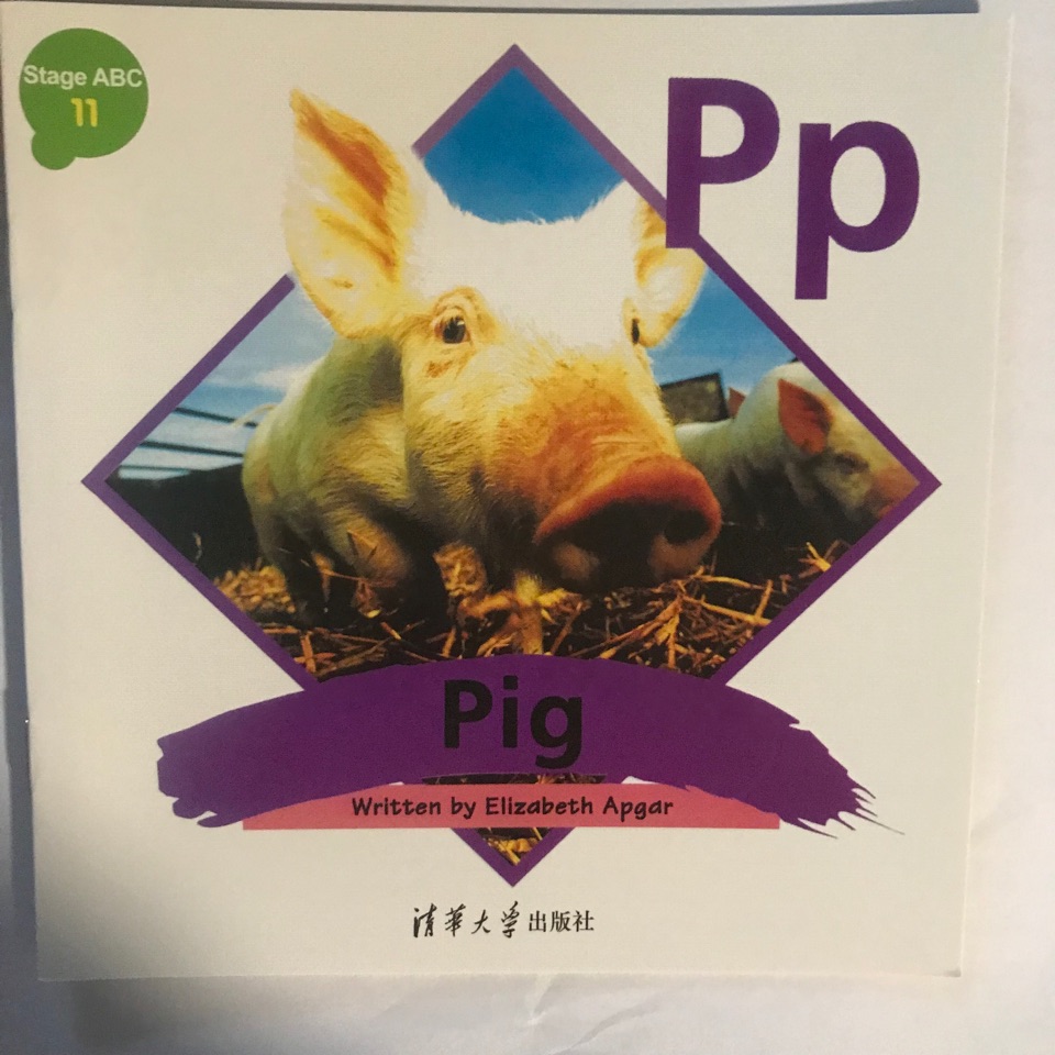 機(jī)靈狗abc 11 Pp Pig