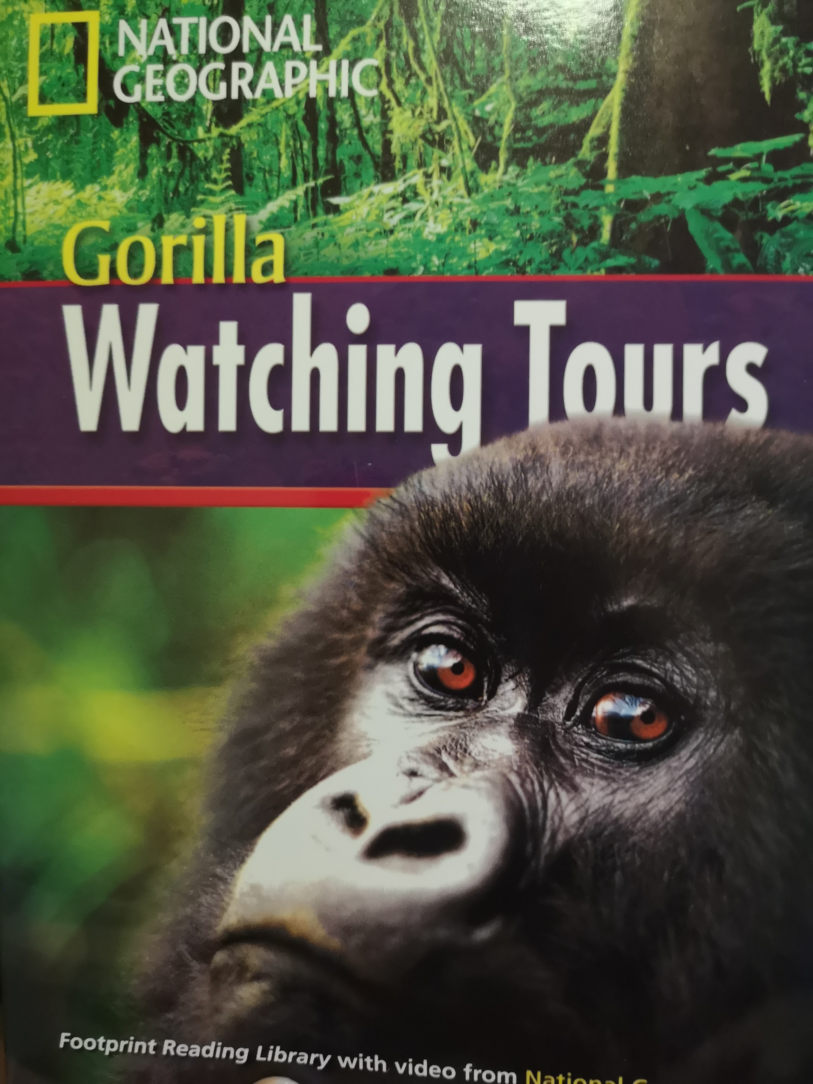 Gorilla watching tours